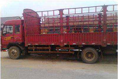 惠阳至金门17米平板车出租，专业货物运输解决方案