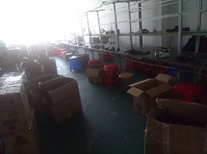 退运货物至坪山与龙岗保税仓的维修运输全流程解析