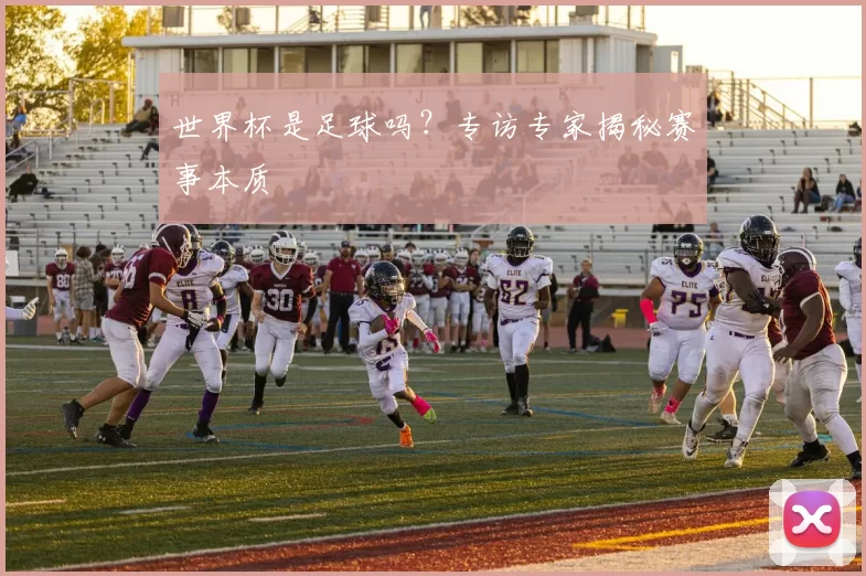 世界杯是足球吗？专访专家揭秘赛事本质