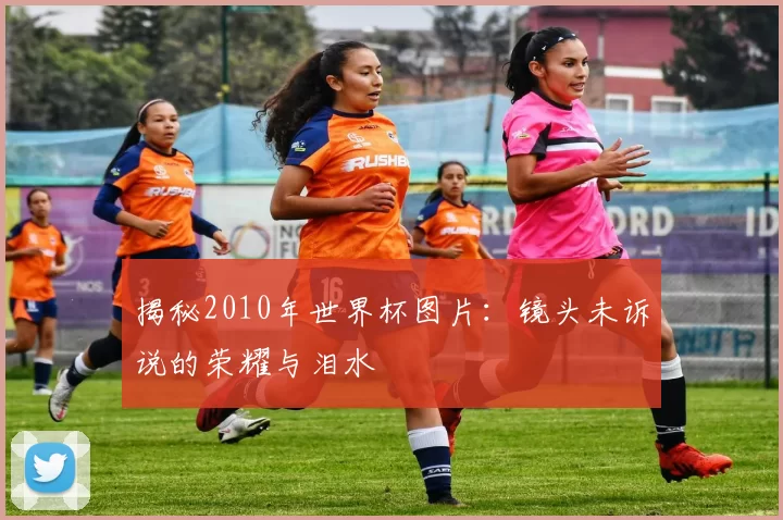 揭秘2010年世界杯图片:镜头未诉说的荣耀与泪水