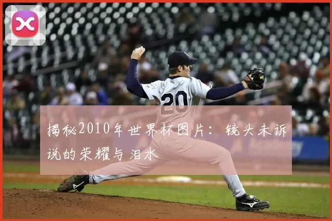 揭秘2010年世界杯图片：镜头未诉说的荣耀与泪水