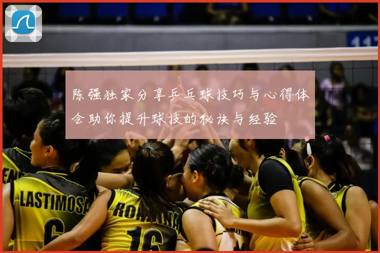 陈强独家分享乒乓球技巧与心得体会助你提升球技的秘诀与经验