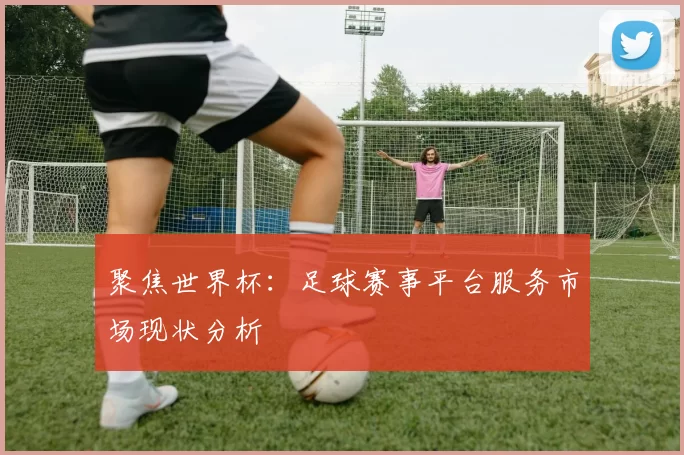 聚焦世界杯：足球赛事平台服务市场现状分析