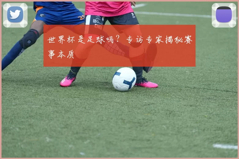 世界杯是足球吗？专访专家揭秘赛事本质
