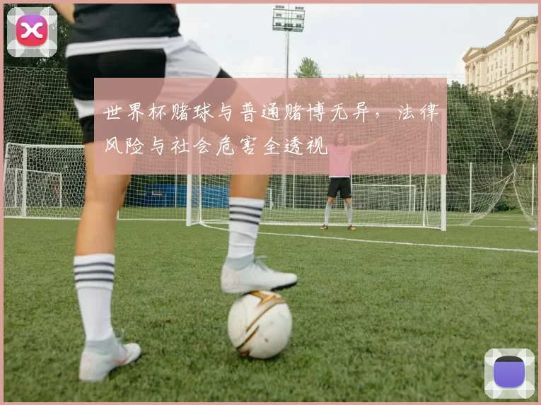 世界杯赌球与普通赌博无异,法律风险与社会危害全透视