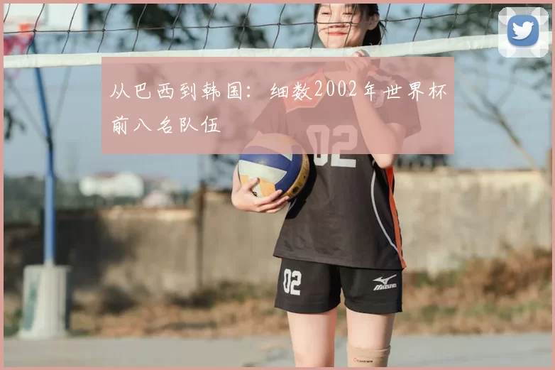 从巴西到韩国：细数2002年世界杯前八名队伍