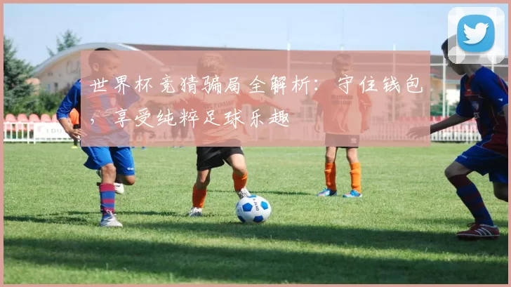 世界杯竞猜骗局全解析：守住钱包，享受纯粹足球乐趣