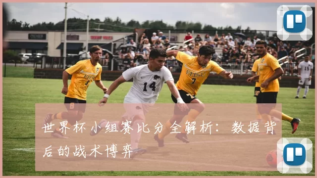 世界杯小组赛比分全解析：数据背后的战术博弈