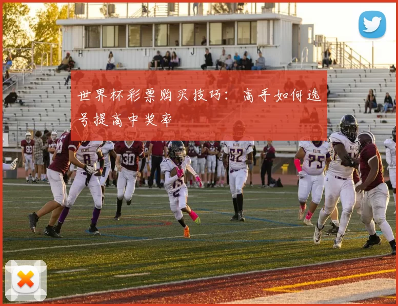 世界杯彩票购买技巧：高手如何选号提高中奖率