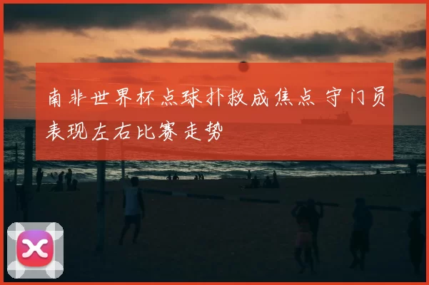 南非世界杯点球扑救成焦点 守门员表现左右比赛走势