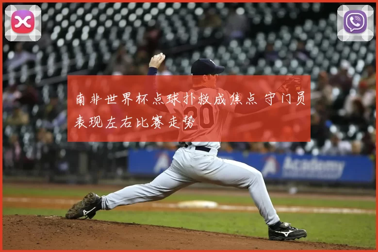 南非世界杯点球扑救成焦点 守门员表现左右比赛走势