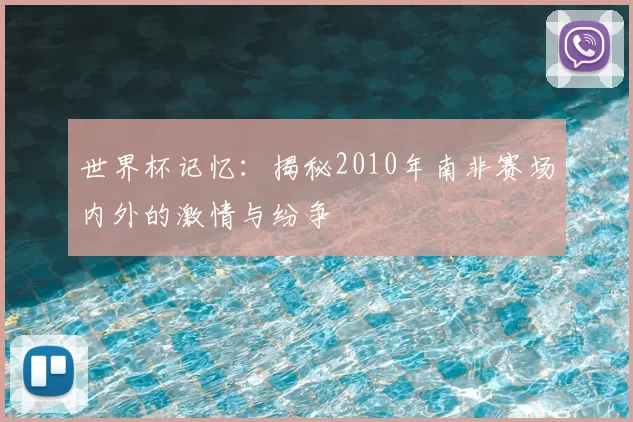 世界杯记忆：揭秘2010年南非赛场内外的激情与纷争