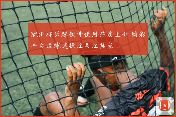 欧洲杯买球软件使用热度上升 购彩平台成球迷投注关注焦点