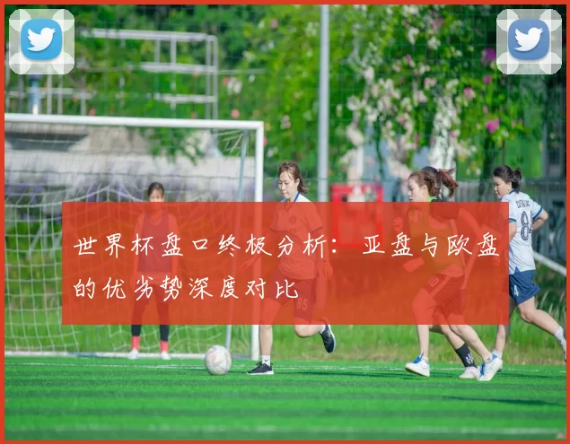 世界杯盘口终极分析：亚盘与欧盘的优劣势深度对比