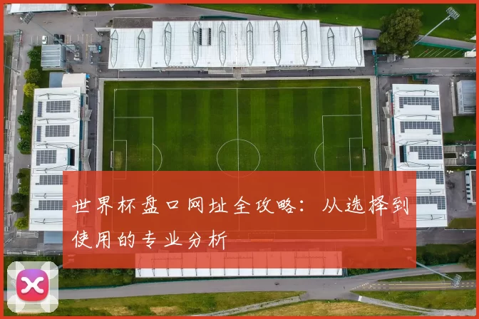 世界杯盘口网址全攻略:从选择到使用的专业分析